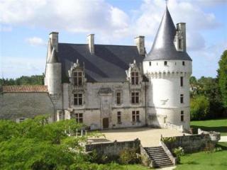 Chateau De Crazannes المظهر الخارجي الصورة